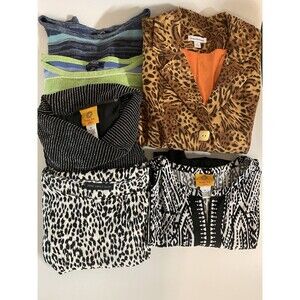Lot Of 5 Assorted Women’s Tops And 1 Dress Size L Petite